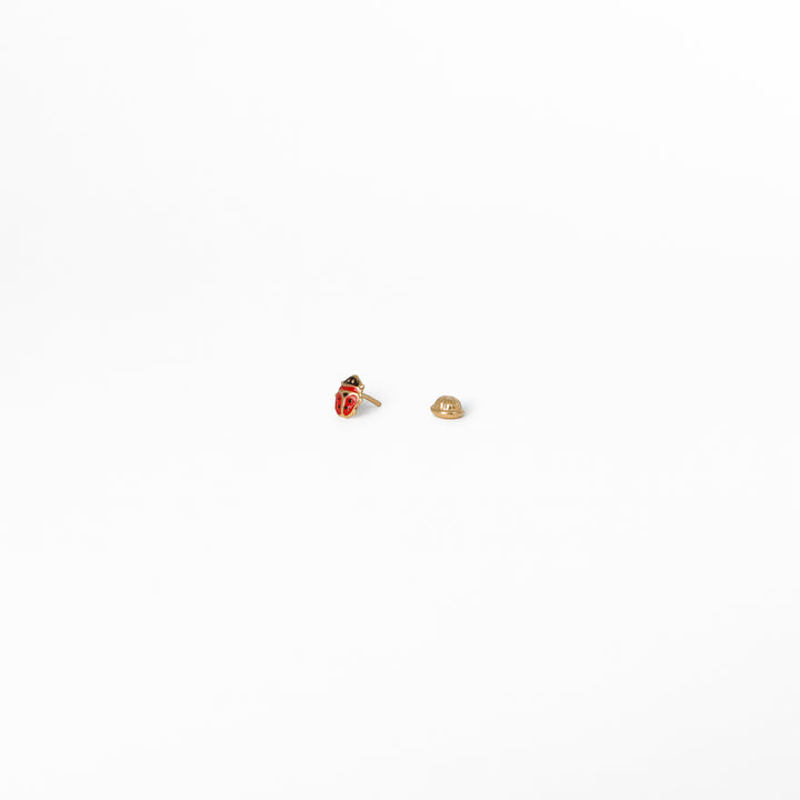 Topos Mariquita Pequeños